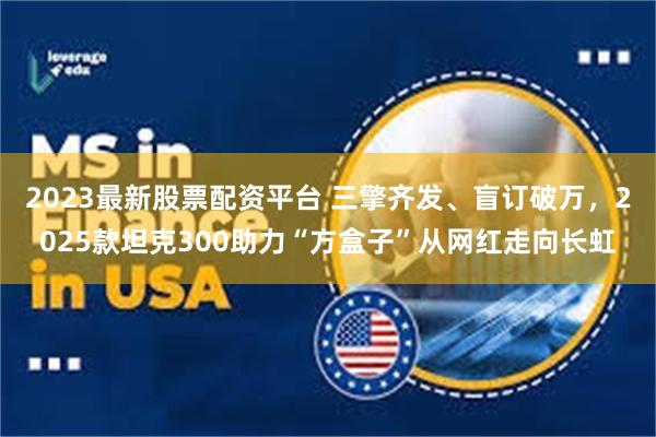 2023最新股票配资平台 三擎齐发、盲订破万，2025款坦克300助力“方盒子”从网红走向长虹