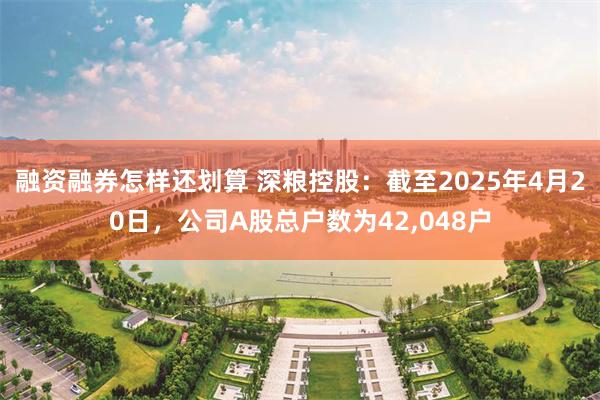 融资融券怎样还划算 深粮控股：截至2025年4月20日，公司A股总户数为42,048户