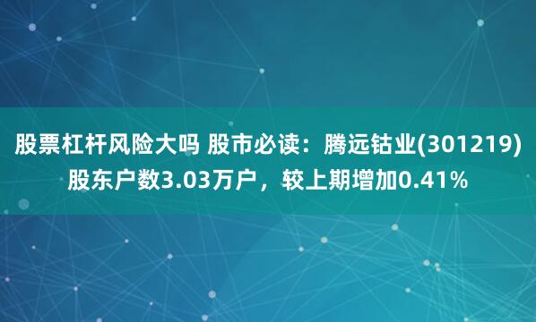 股票杠杆风险大吗 股市必读：腾远钴业(301219)股东户数3.03万户，较上期增加0.41%