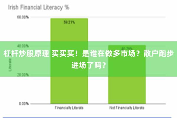 杠杆炒股原理 买买买！是谁在做多市场？散户跑步进场了吗？