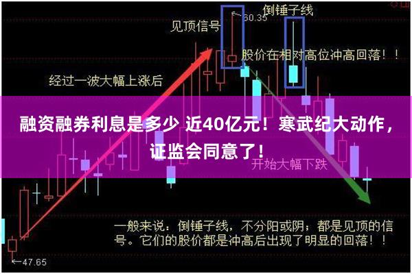 融资融券利息是多少 近40亿元！寒武纪大动作，证监会同意了！
