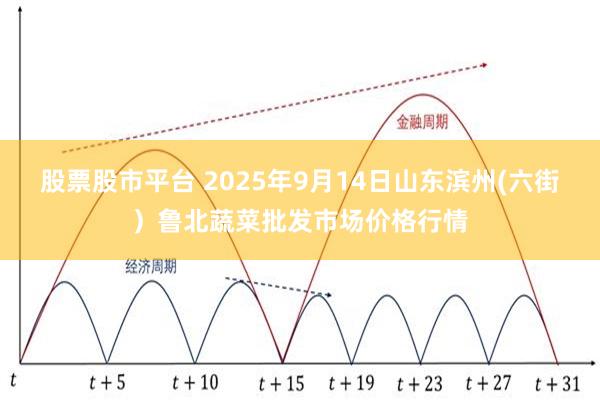 股票股市平台 2025年9月14日山东滨州(六街）鲁北蔬菜批发市场价格行情