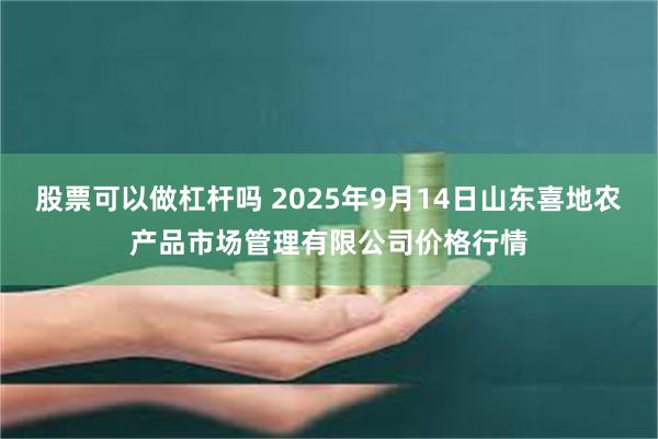 股票可以做杠杆吗 2025年9月14日山东喜地农产品市场管理有限公司价格行情