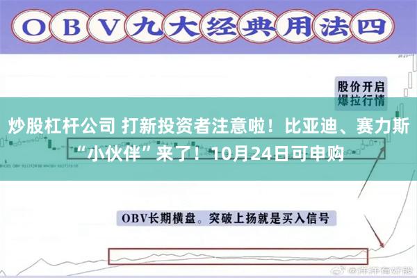 炒股杠杆公司 打新投资者注意啦！比亚迪、赛力斯“小伙伴”来了！10月24日可申购