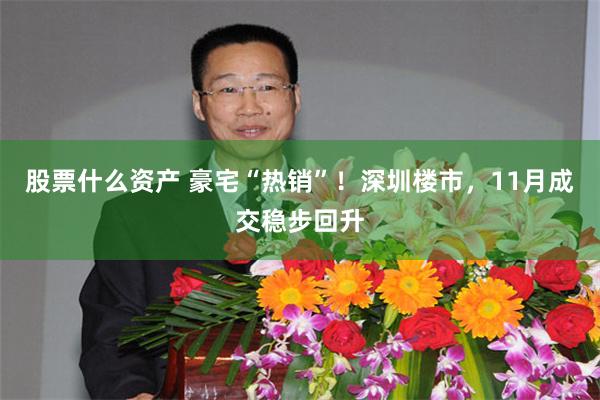 股票什么资产 豪宅“热销”!深圳楼市,11月成交稳步回升